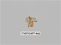 藏品(二斑叉紋苔蛾)的圖片